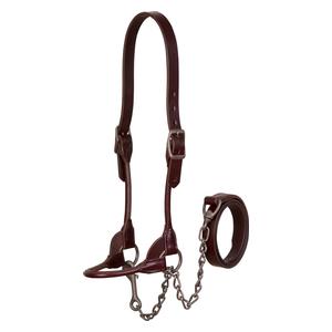 Brown Bombshell Leather Cattle Show Halter Weaver Livestock